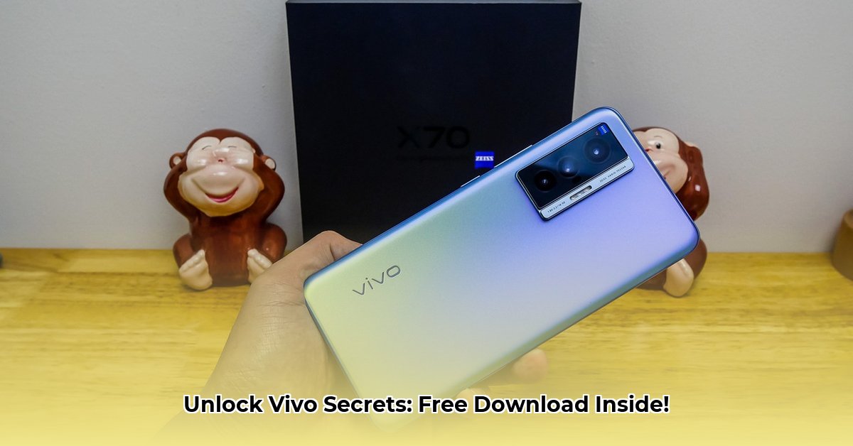 vivo-free-download